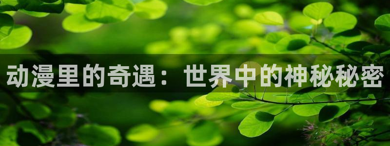 58动漫网：动漫里的奇遇：世界中的神秘秘密
