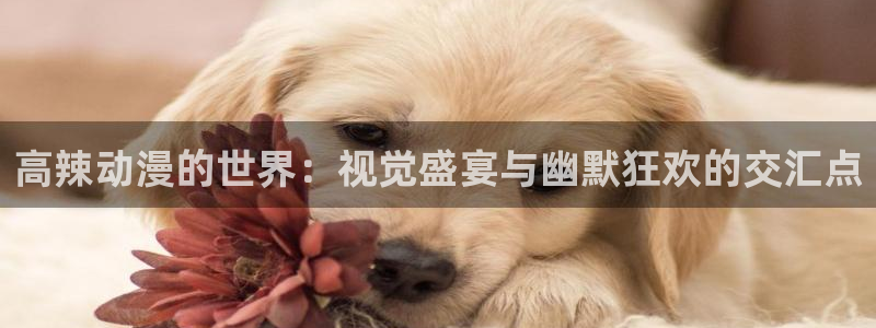 58动漫的网站：高辣动漫的世界：视觉盛宴与幽默狂欢的交汇点